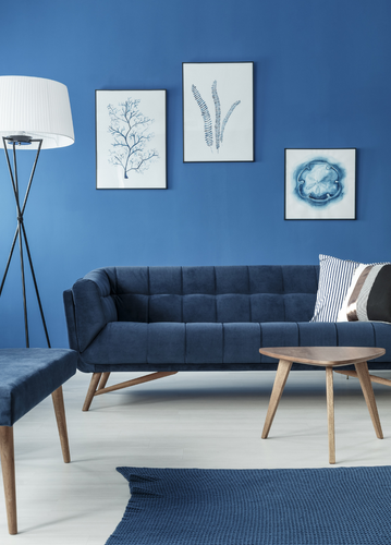 Blue Sofa