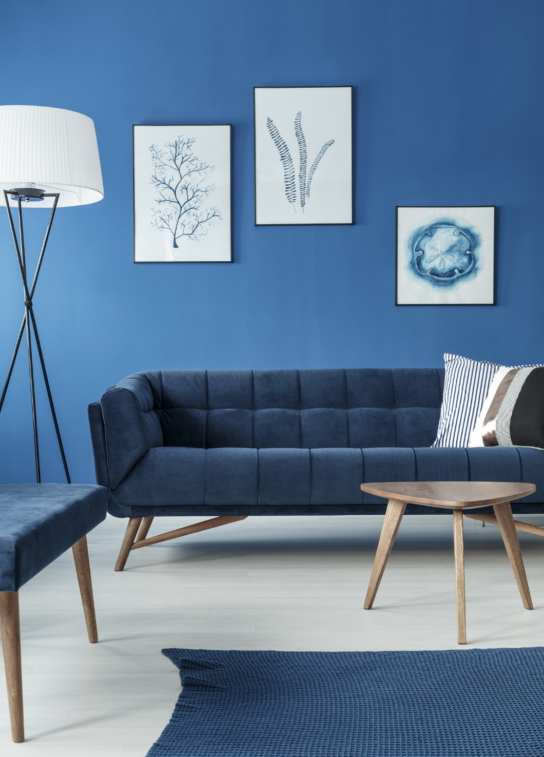 Blue Sofa